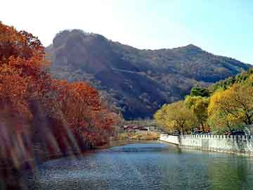 澳门天天开奖免费资料，山东大学体育学院